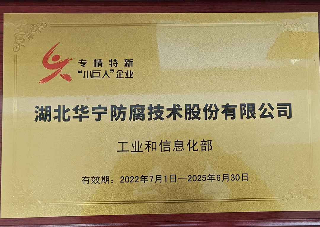 专精特新小巨人企业