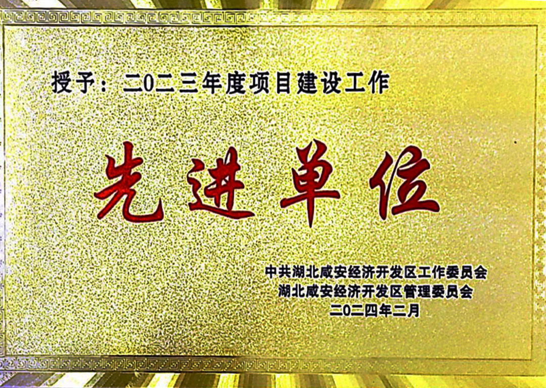 建设工作先进单位