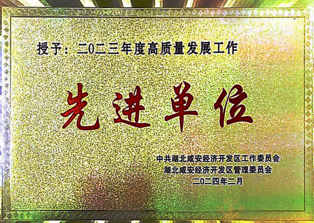 质量发展工作先进单位